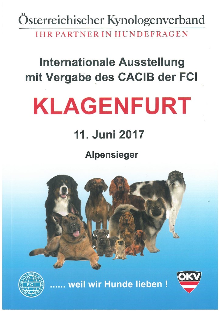 catalogo Klagenfurt 2017