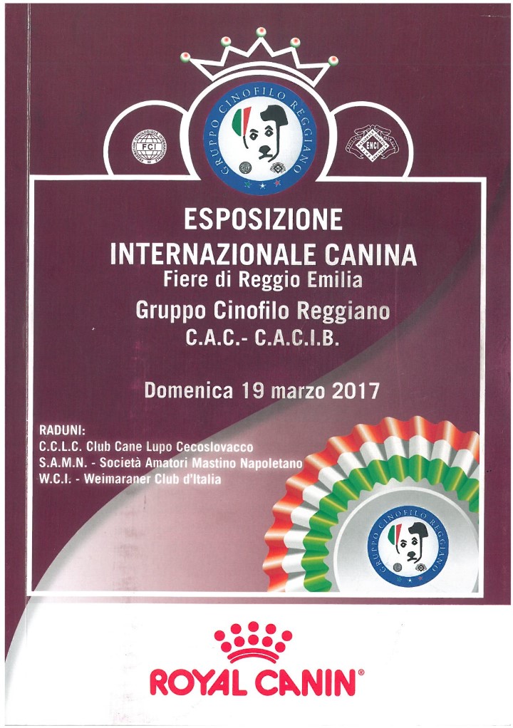 catalogo Reggio 2017