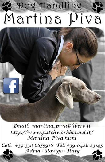 Biglietto Martina e weimaraner