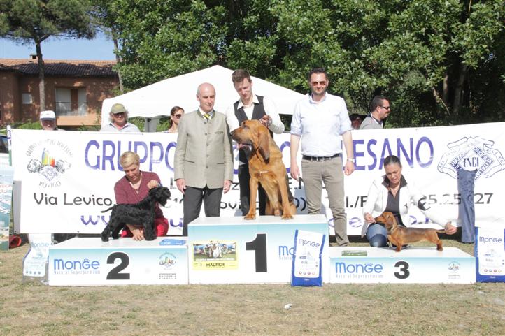 Stefano e Dexter J BIS Albarella