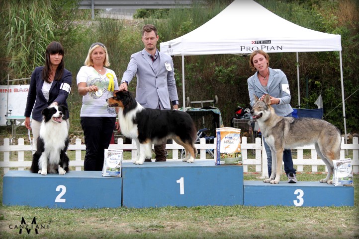 Stefano e Geppo BOG Koper 2015
