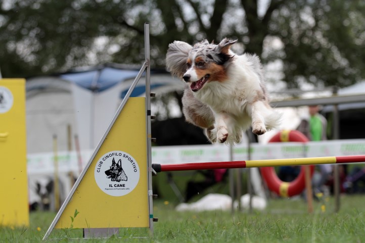 Baby agility