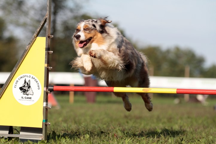 Baby agility