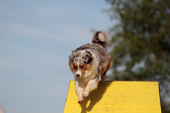 Baby agility