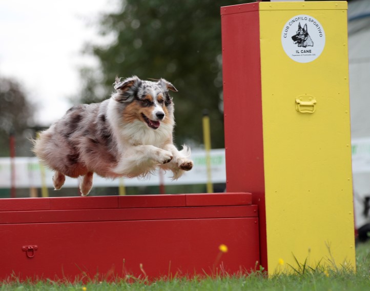 Baby agility