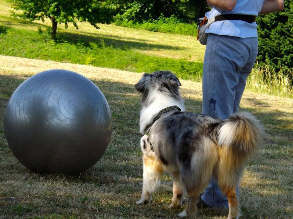 Baby treibball