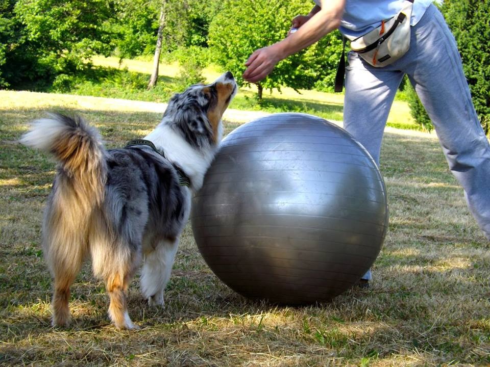 Baby treibball