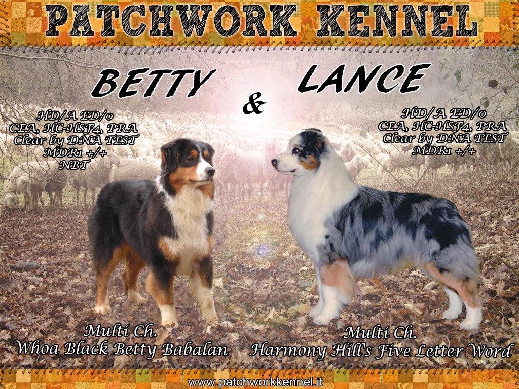 Betty x Lance cuccioli 