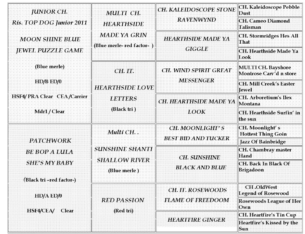 puppies's pedigree